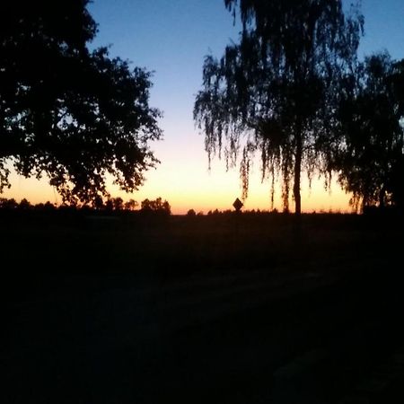 Entspannen & Wohlfuehlen In Der Lueneburger Heide Vierhofen Zewnętrze zdjęcie